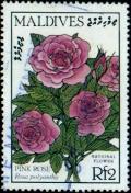 Colnect-2055-512-Pink-Rose---Rosa-polyantha.jpg