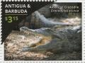 Colnect-3522-164-American-Crocodile-Crocodylus-acutus.jpg