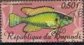Colnect-980-993-Egyptian-Moothbrooder-Haplochromis-strigigena.jpg