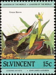 Colnect-1748-161-Green-Heron-Butorides-virescens.jpg
