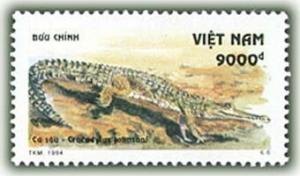 Colnect-1160-403-Freshwater-Crocodyle-Crocodylus-johnsoni.jpg