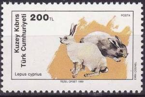 Colnect-1687-286-Cyprus-Brown-Hare-Lepus-cyprius.jpg