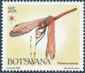 Colnect-1754-741-Red-veined-Dropwing-Trithemis-arteriosa.jpg