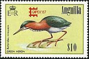 Colnect-1924-568-Green-Heron-Butorides-virescens.jpg