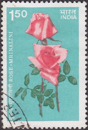 Colnect-2120-958-Roses--Mrinalini.jpg