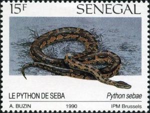 Colnect-2133-349-African-Rock-Python-Python-sebae.jpg