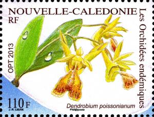 Colnect-2565-682-Dendrobium-poissonianum.jpg