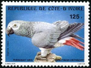 Colnect-2750-010-Gray-Parrot-Psittacus-erithacus.jpg