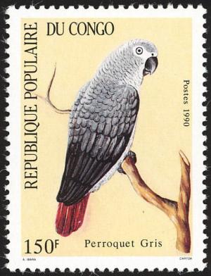 Colnect-2925-417-Gray-Parrot-Psittacus-erithacus.jpg