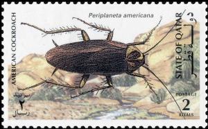 Colnect-4169-083-American-Cockroach-Periplaneta-americana-.jpg