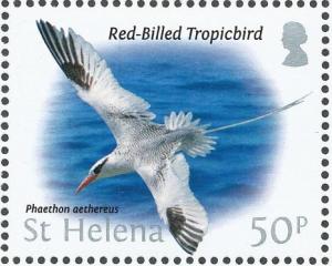Colnect-4524-389-Red-billed-Tropicbird-Phaethon-aethereus.jpg
