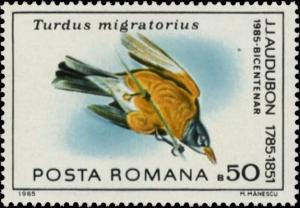 Colnect-5816-594-American-Robin-Turdus-migratorius.jpg