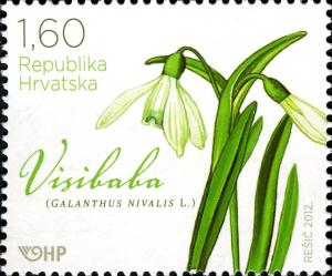 Colnect-6335-342-Snowdrop-Galanthus-nivalis.jpg