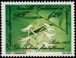 Colnect-853-955-Dendrobium-fractiflexum.jpg