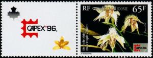 Colnect-855-405-Dendrobium-macrophyllum.jpg