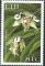 Colnect-2821-719-Dendrobium-macrophyllum.jpg