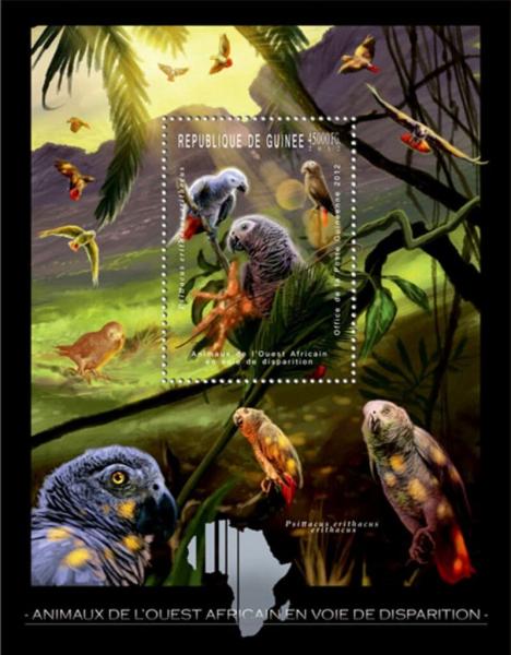 Colnect-6479-785-Grey-Parrot-Psittacus-erithacus.jpg