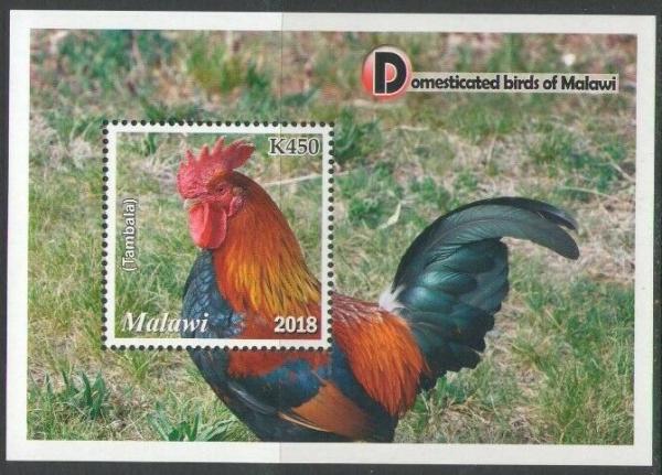 Colnect-6224-197-Rooster-Tambala.jpg