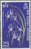 Colnect-1317-888-Dendrobium-teretifolium.jpg