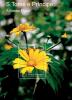 Colnect-6250-208-Flowers-from-Sao-Tome-and-Principe.jpg