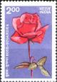 Colnect-2057-101-Roses--Sugandha.jpg