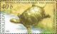Colnect-3176-981-European-Pond-Turtle.jpg