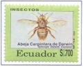Colnect-2547-441-Galapagos-Carpenter-Bee-Xylocopa-darwini.jpg