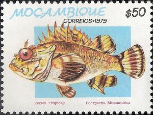 Colnect-1116-030-Mozambique-Scorpionfish-Scorpaena-mossambica.jpg