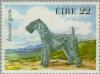 Colnect-128-718-Kerry-Blue-Terrier-Canis-lupus-familiaris.jpg