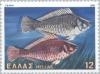 Colnect-175-034-Mediterranean-Parrotfishes-Sparisoma-cretensis-.jpg