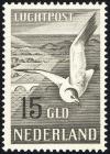 Colnect-2191-227-European-Herring-Gull-Larus-argentatus.jpg