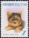 Colnect-3005-797-Yorkshire-Terrier-Canis-lupus-familiaris.jpg