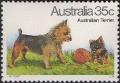 Colnect-477-699-Australian-Terrier-Canis-lupus-familiaris.jpg