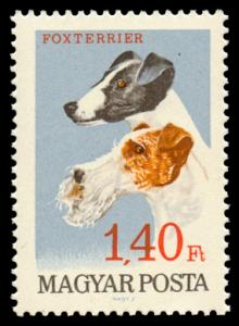 1838_Fox_Terriers_140.jpg