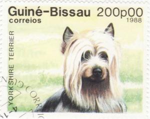 Colnect-1112-430-Yorkshire-Terrier-Canis-lupus-familiaris.jpg