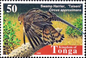 Colnect-2537-701-Swamp-Harrier-Circus-approximans.jpg