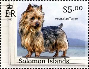 Colnect-2576-845-Australian-Terrier-Canis-lupus-familiaris.jpg