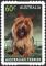 Colnect-2056-657-Australian-Terrier-Canis-lupus-familiaris.jpg