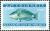Colnect-5056-333--Blue--Parrotfish-Scarus-coeruleus.jpg