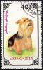 Colnect-1249-886-Yorkshire-Terrier-Canis-lupus-familiaris.jpg