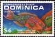 Colnect-2293-266-Rainbow-Parrotfish-Scarus-guacamaia.jpg
