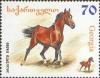 Colnect-1104-809-Arabic-Horse-Equus-ferus-caballus.jpg