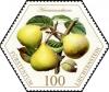 Colnect-5275-205-Pears--Hermannsbirne-.jpg