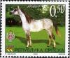 Colnect-577-642-Arabian-Horse-Equus-ferus-caballus.jpg