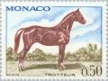 Colnect-148-198-Trotter-Horse-Equus-ferus-caballus.jpg