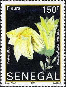 Colnect-1618-971-Flowers---Moringa-oleifera.jpg