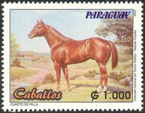 Colnect-1300-524-Quarterhorse-Equus-ferus-caballus.jpg