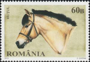 Colnect-6031-460-Hu%C8%9Bul-Horse-Equus-ferus-caballus.jpg