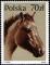 Colnect-1967-973-Huzule-Horse-Equus-ferus-caballus.jpg