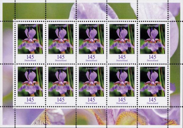 Colnect-4244-626-Flowers---Sword-lily-iris.jpg